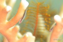 講習にFUNダイビングにお祝いに✨