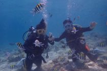 ライセンス取得コース2日目！