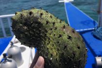 南国フルーツ♪