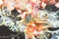 眩しい笑顔のホヤ😆