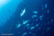 濃い週末でした❣️