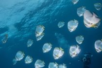 男だらけのゴールデンウィーク🙋‍♂️