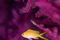 元気にサンセットまで🎶