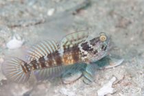 キラキラした人⭐️