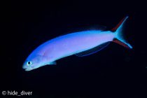 GW 1の賑やかな日🎶