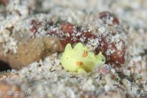 GWのステキPHOTO✨✨