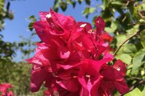 ちょい休憩です🌺