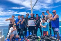 晴れた晴れた🌞