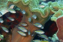 5/30パラオスポート号離岸⭐️