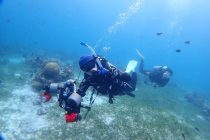 久々のセブダイビング🎶