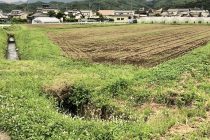 日本て素晴らしい💚