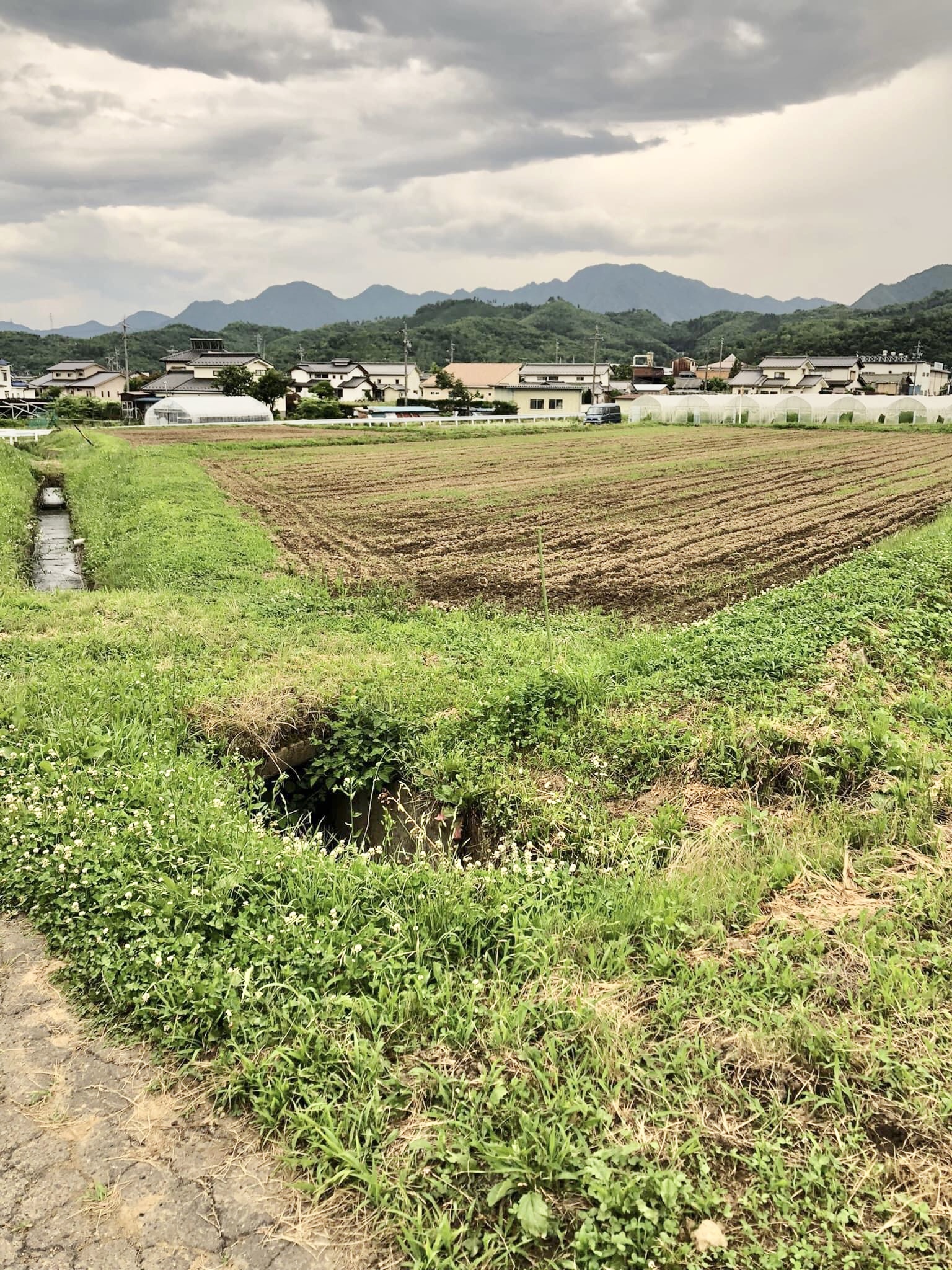 日本て素晴らしい💚