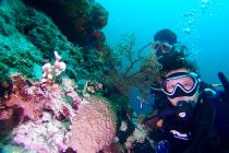 久々のセブの海🎶