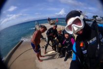 ハウスリーフでダイビング🎶