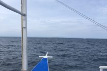 海！からのお祝い🥩