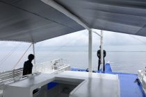 2チームに分かれて🎶