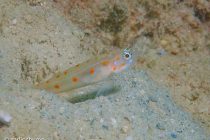 いろんなポイントへ🎶