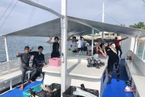 サンセットダイビングまで元気に潜っています🎶