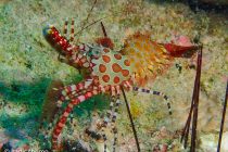 最近のお客様PHOTO⭐️