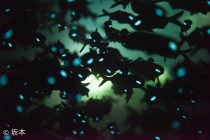 盛りだくさんな日々✨✨