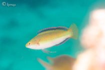 油断してたぁ😆💦