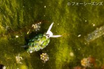 マクロ三昧❤️