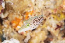 お客様のステキPHOTO✨