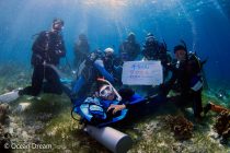 Ocean Dream さんステキPHOTO⭐️