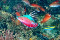 最近の素敵PHOTO⭐️