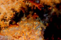 ステキPHOTO✨✨