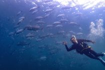 GT特訓ダイビング👍