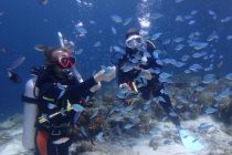 取材&FUNダイビング！