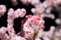 ティティンさんのツボ！