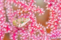 いろんなポイントへ✌️