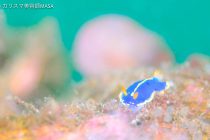 そんなに黒いかな😳💦