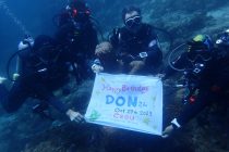 バースデーダイブ🐠