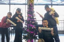 大好きな大瀬崎🗻