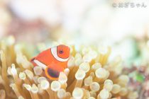 アフターダイビングまで充実🎵