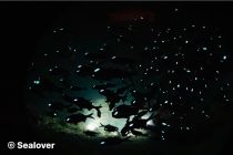 朝から夜まで🎵