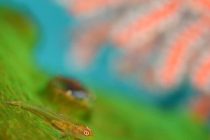 もうすぐクリスマス！