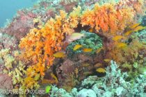 セブは暑い〜😆🎵