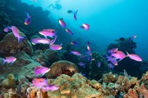 どれもステキな写真🎵