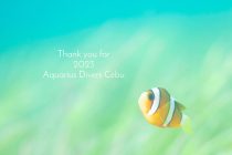 2023年も有難うございました🙇‍♀️