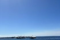 ヒルトゥガンが熱い〜