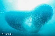 お客様ステキPHOTO✨✨