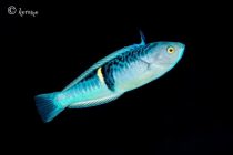 海にスイーツに充実🩷