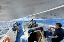 今日も乗り合いで！