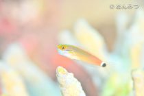 帰国していました🙇‍♀️