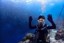 贅沢なライセンス講習🐟