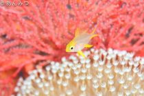 カラフルワールド🌈